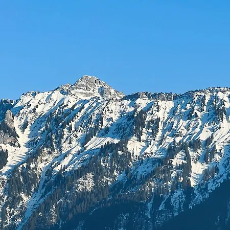 Apartamento Edis One Next To Interlaken's Biggest Park *